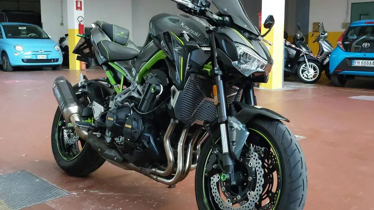Kawasaki Z 900 Performance (2019)  (6)