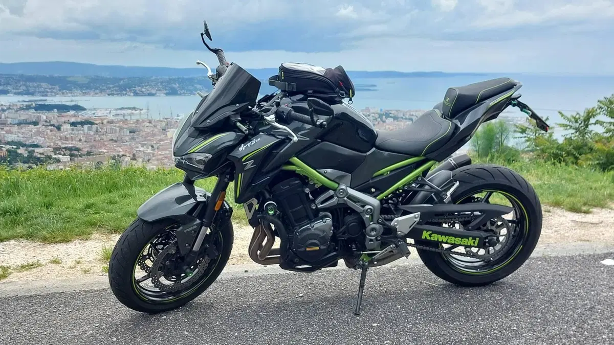 Kawasaki Z 900 Performance (2019)  (9)