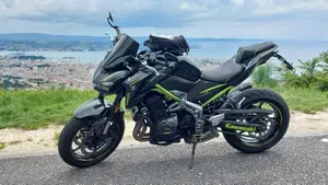 Kawasaki Z 900 Performance (2019)  (9)