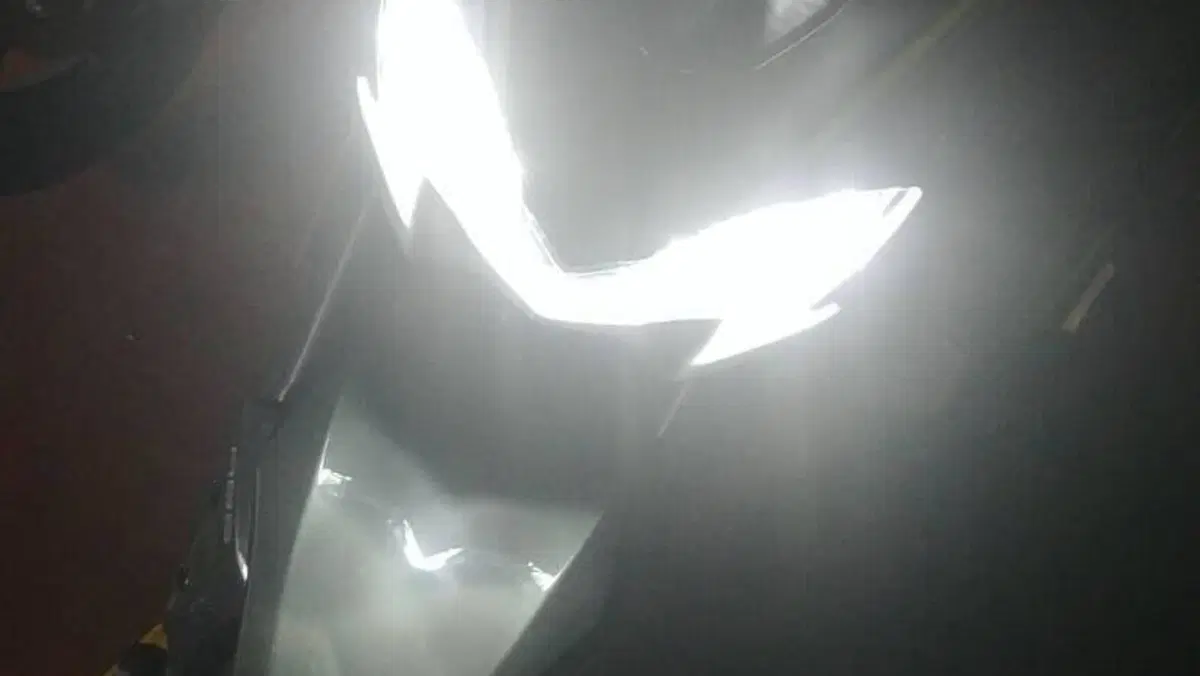 Kawasaki Z 900 Performance (2019)  (11)