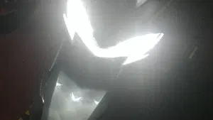 Kawasaki Z 900 Performance (2019)  (11)
