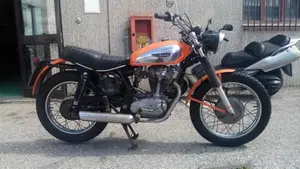 Ducati   (4)