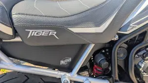 Triumph Tiger 900 GT Pro (2020 - 23)  (8)