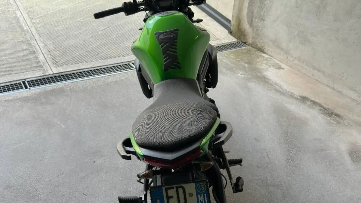 Kawasaki ER-6N ABS (2012 - 16)  (6)