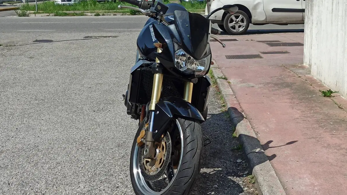 Kawasaki Z 1000 (2003 - 06)  (2)