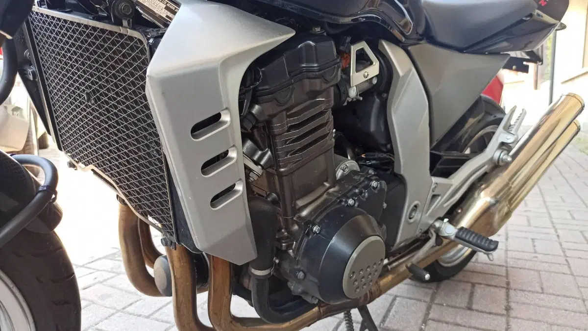 Kawasaki Z 1000 (2003 - 06)  (18)