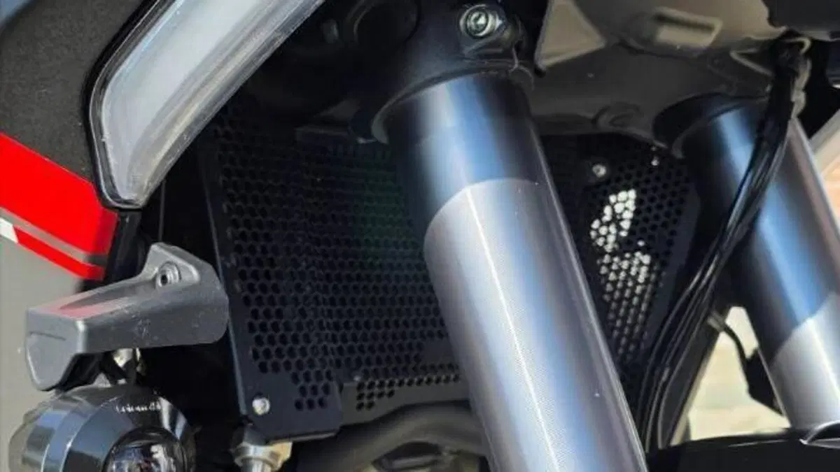 Ducati Multistrada V4 S Grand Tour (2024)  (8)