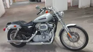 Harley-Davidson 883 Custom (2008 - 12) - XL 883C 