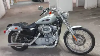 Harley-Davidson 883 Custom (2008 - 12) - XL 883C