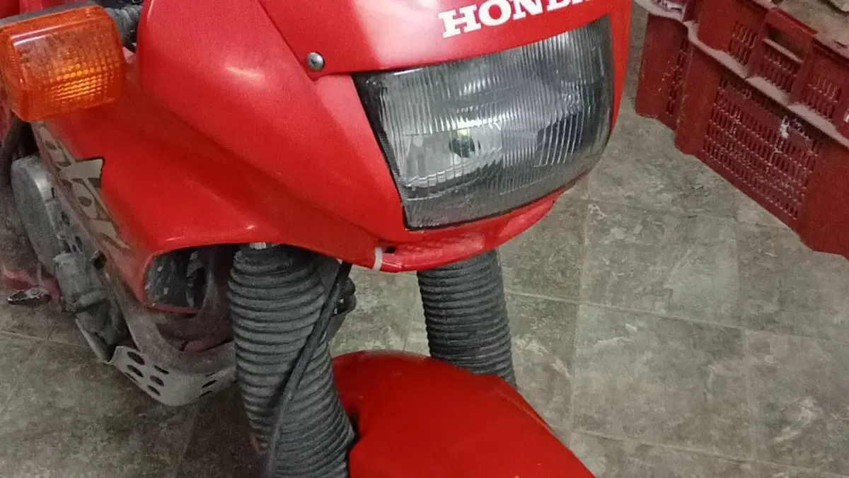Honda NX 650 Dominator (1988 - 90)  (5)