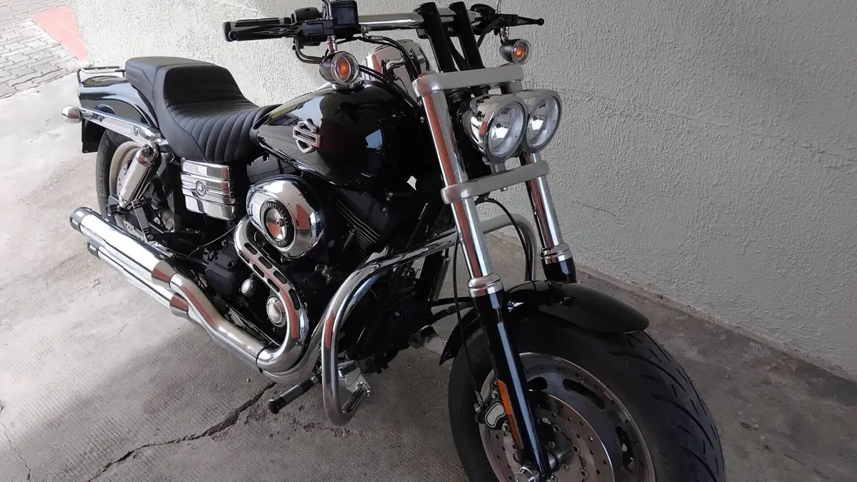 Harley-Davidson 1584 Fat Bob (2007 - 13) - FXDF  (2)