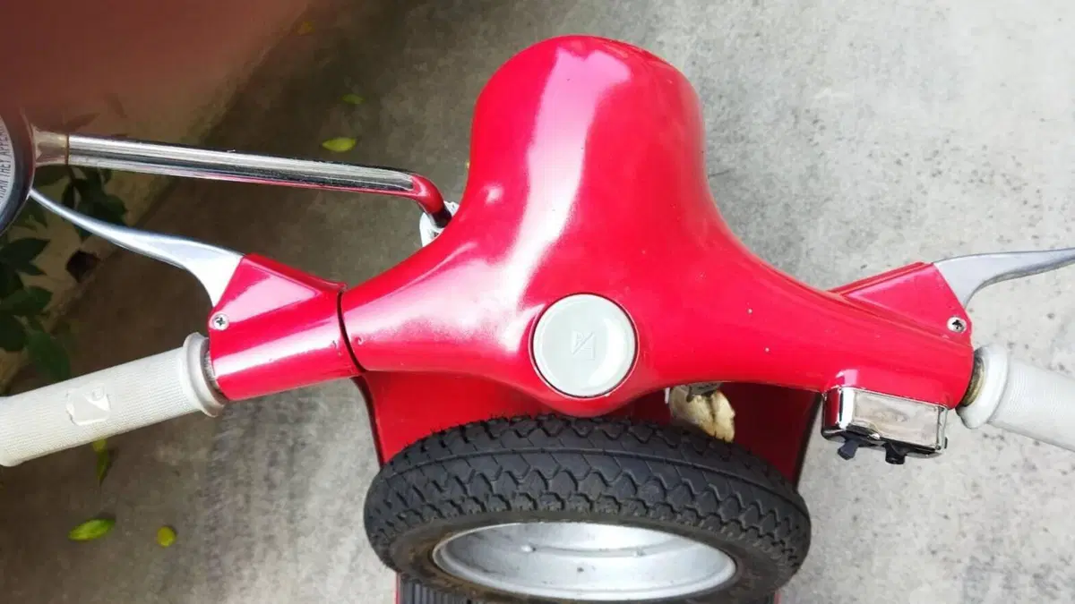 Piaggio   (14)