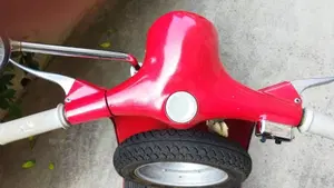 Piaggio   (14)