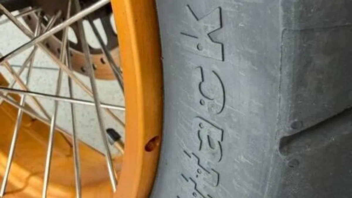 Royal Enfield Himalayan 450 Tubeless (2024 - 26)  (6)