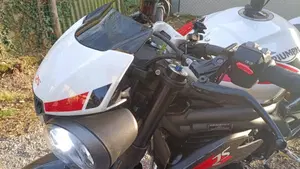 Triumph Speed Triple 1050 RS (2018 - 20)  (3)