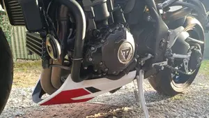Triumph Speed Triple 1050 RS (2018 - 20)  (7)