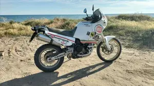 Cagiva Elefant 900 AC (1993 - 98)  (5)