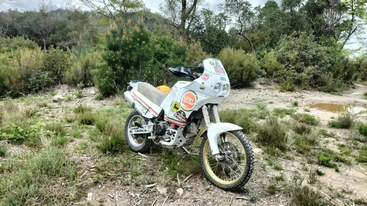 Cagiva Elefant 900 AC (1993 - 98)  (6)