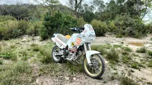 Cagiva Elefant 900 AC (1993 - 98)  (6)