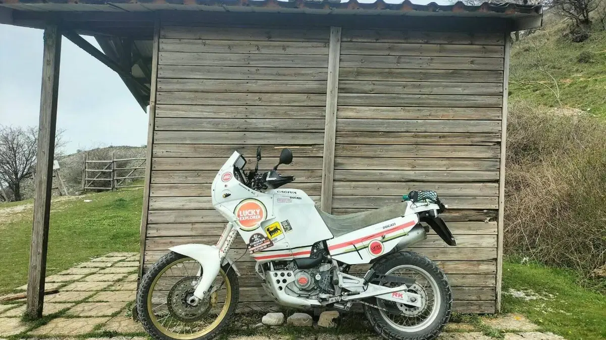 Cagiva Elefant 900 AC (1993 - 98)  (7)