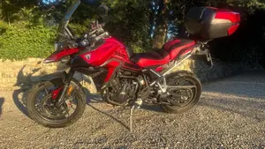 Triumph Tiger 900 GT Pro (2024 - 26)  (2)