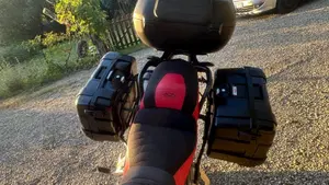 Triumph Tiger 900 GT Pro (2024 - 26)  (7)