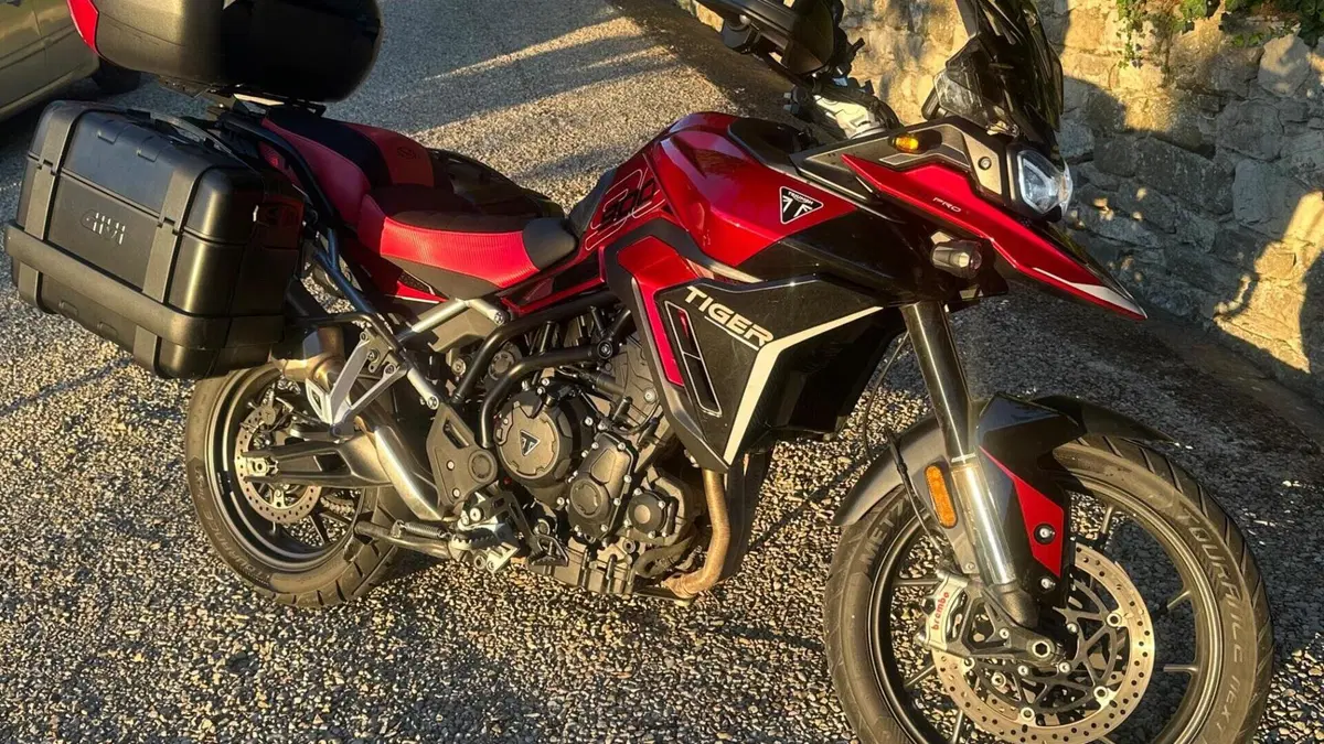 Triumph Tiger 900 GT Pro (2024 - 26)  (8)
