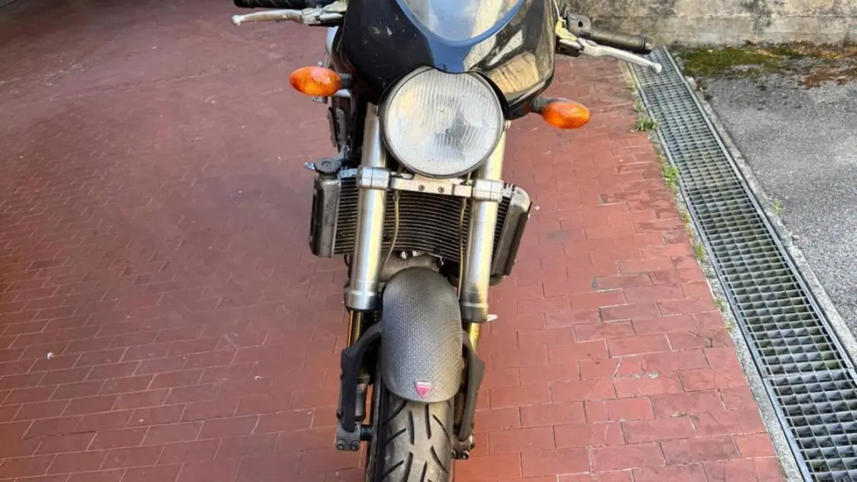 Ducati   (6)