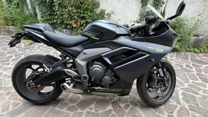 Triumph Daytona 660 (2024 - 26)  (4)