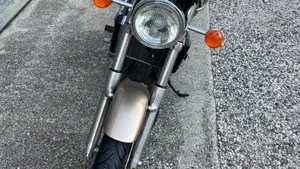 Triumph Thunderbird 900 (1995 - 01)  (6)