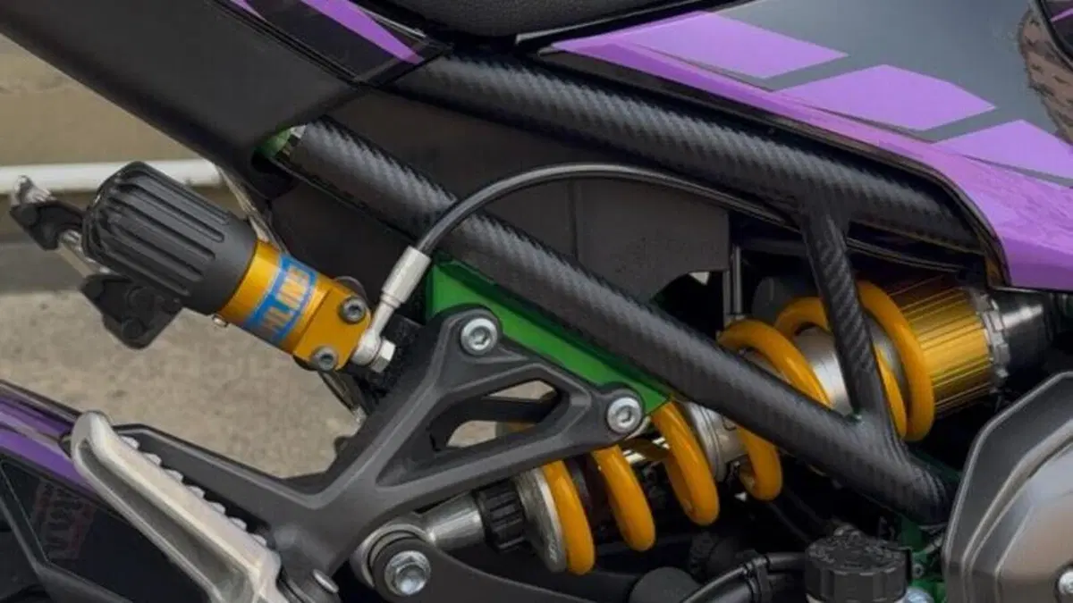 Kawasaki Z 900 SE Performance (2023 - 24)  (2)