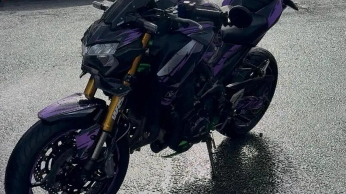 Kawasaki Z 900 SE Performance (2023 - 24)  (3)