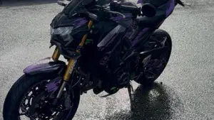 Kawasaki Z 900 SE Performance (2023 - 24)  (3)