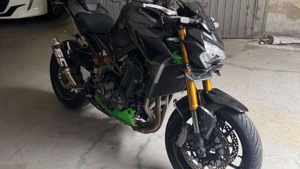 Kawasaki Z 900 SE Performance (2023 - 24)  (4)