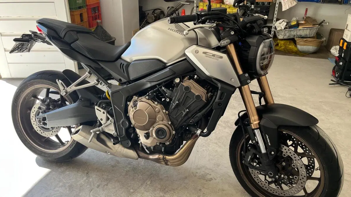 Honda CB 650 R (2019 - 20)  (7)
