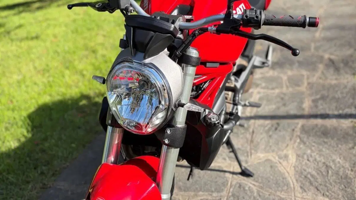 Ducati Monster 821 ABS (2014 - 17)  (3)