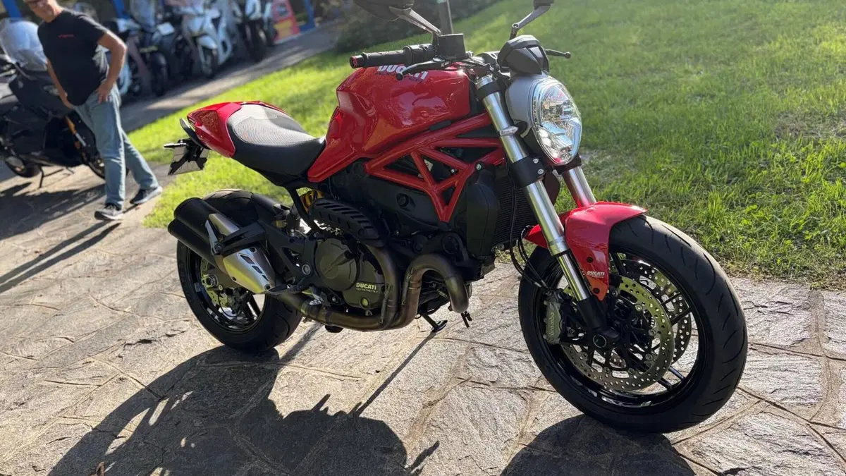 Ducati Monster 821 ABS (2014 - 17)  (4)