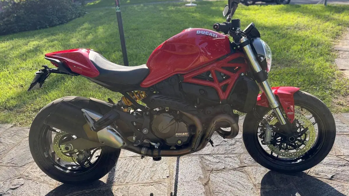Ducati Monster 821 ABS (2014 - 17)  (5)