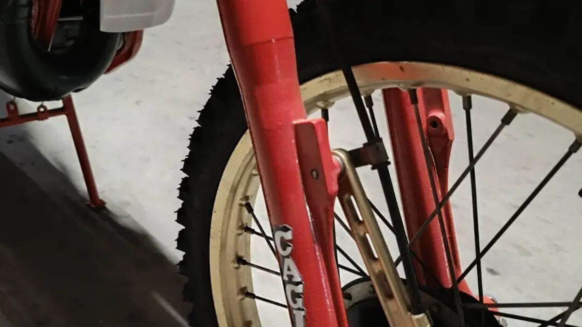 Cagiva   (13)