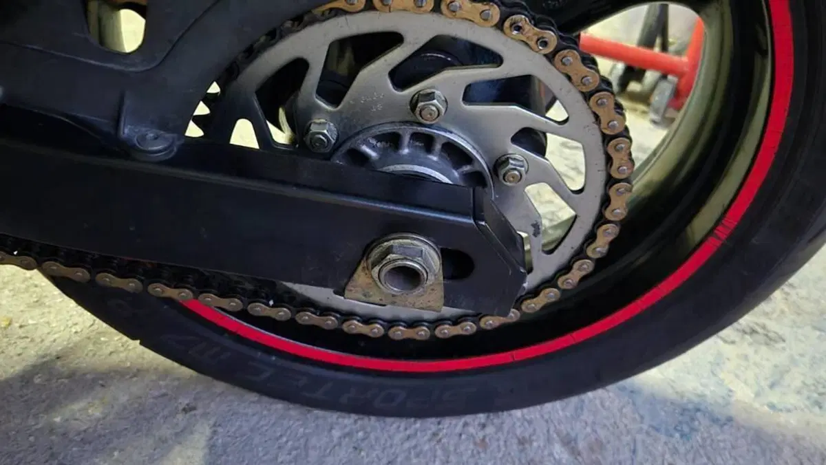 Ducati Monster 620 I.E. Dark (2002)  (8)