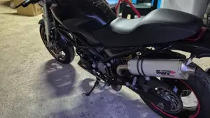 Ducati Monster 620 I.E. Dark (2002)  (3)
