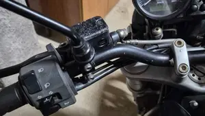 Ducati Monster 620 I.E. Dark (2002)  (11)