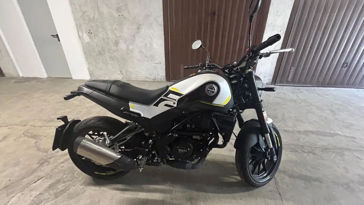 Benelli Leoncino 250 (2021 - 25) 