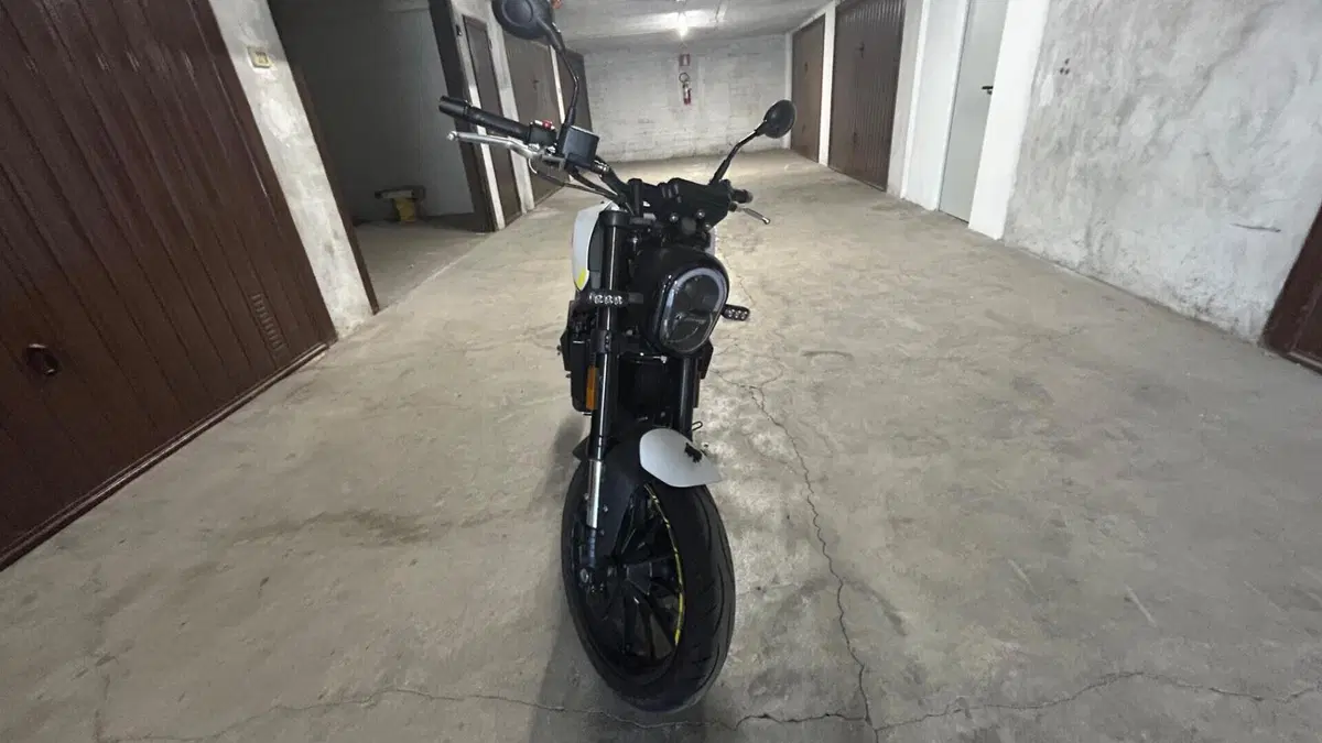 Benelli Leoncino 250 (2021 - 25)  (2)