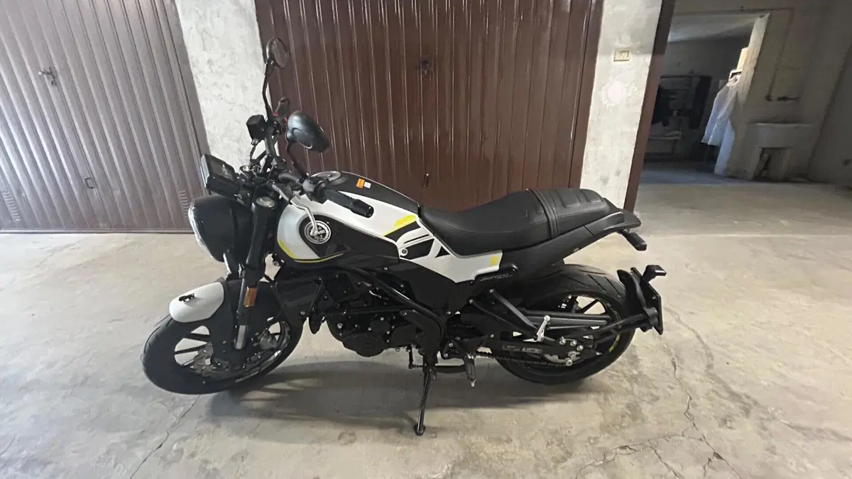 Benelli Leoncino 250 (2021 - 25)  (5)
