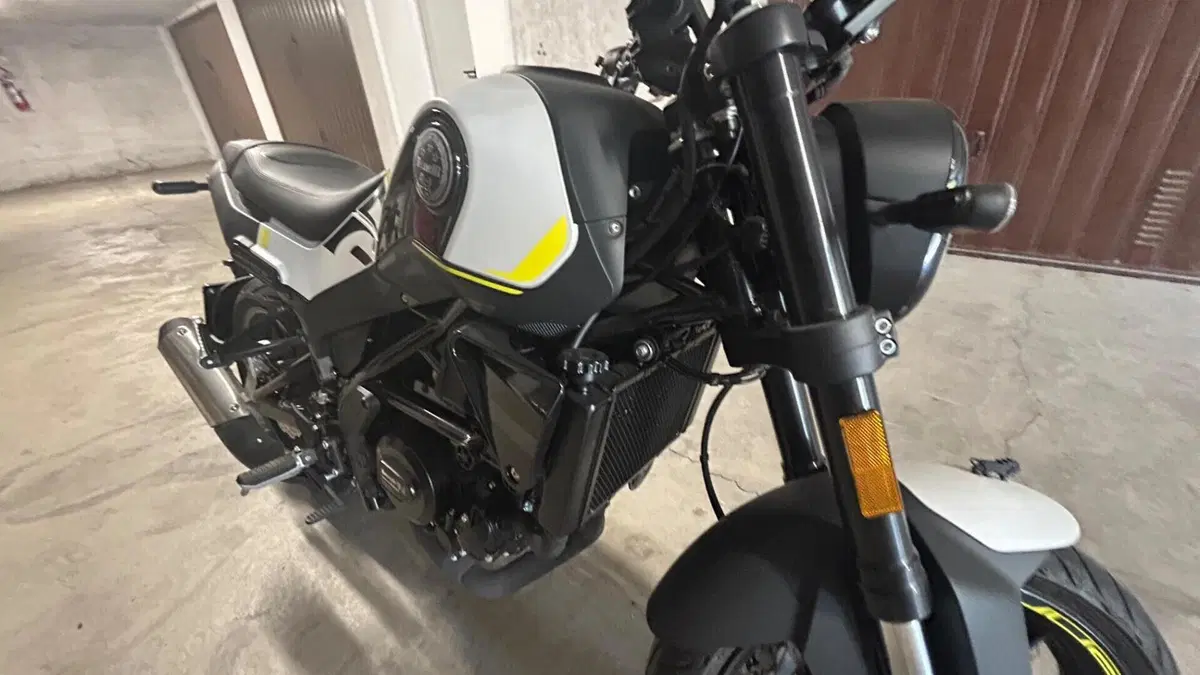 Benelli Leoncino 250 (2021 - 25)  (8)