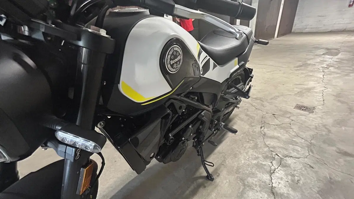Benelli Leoncino 250 (2021 - 25)  (9)