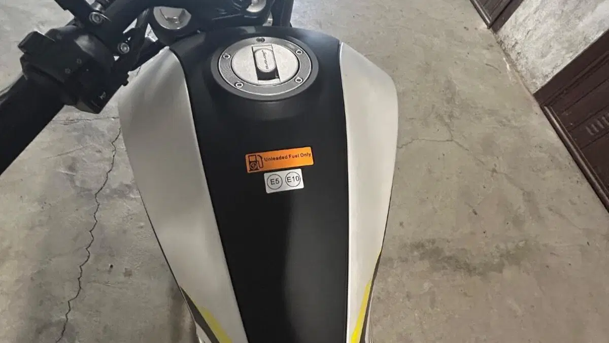 Benelli Leoncino 250 (2021 - 25)  (11)