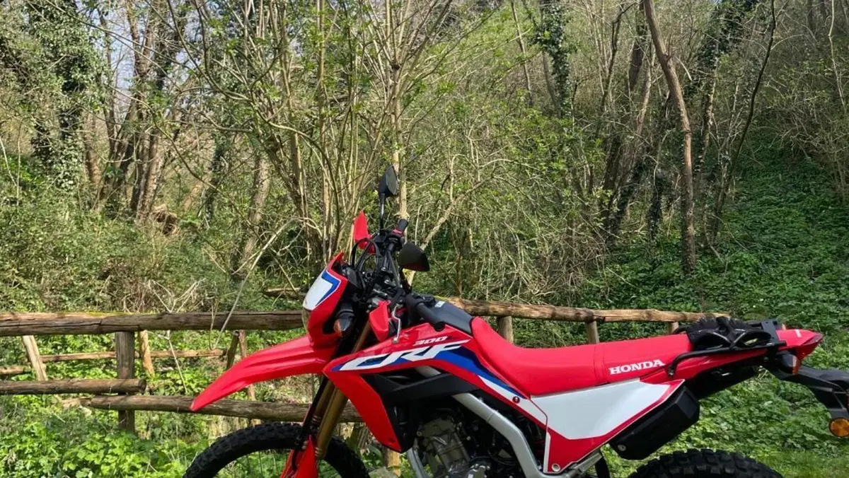 Honda CRF 300L (2021 - 24)  (3)