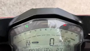 Ducati 959 Panigale (2016 - 19)  (4)